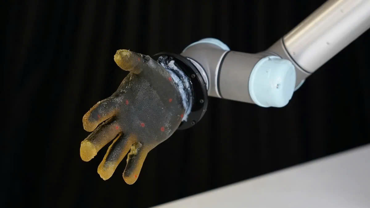 Robot biết đau nhờ da nhân tạo mới- Ảnh 1. Robot biết đau nhờ da nhân tạo mới- Ảnh 1.
