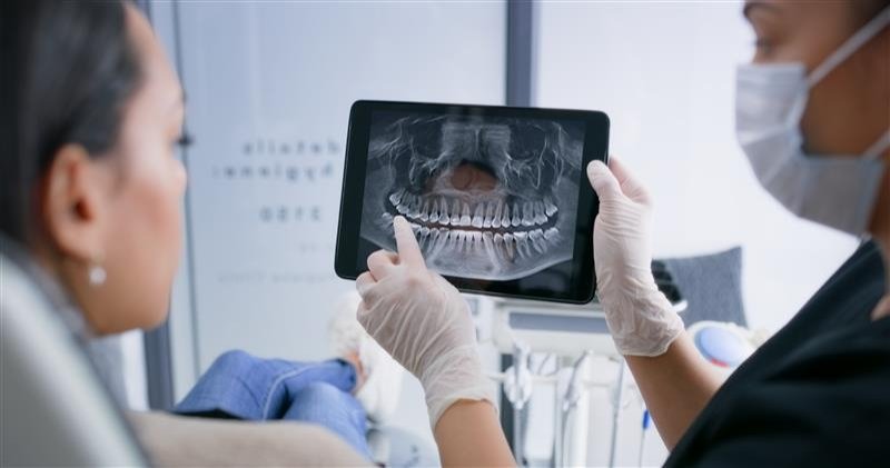 Nhật Bản thử nghiệm thuốc mọc lại răng cho người lớn, dự kiến 2030 sẽ bán ra- Ảnh 3. Nhật Bản thử nghiệm thuốc mọc lại răng cho người lớn, dự kiến 2030 sẽ bán ra- Ảnh 3.