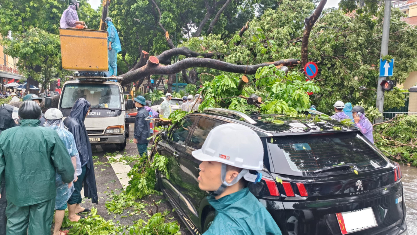 Khoảnh khắc cây xà cừ cổ thụ bật gốc đè bẹp ô tô trên đường Trần Phú- Ảnh 7. Khoảnh khắc cây xà cừ cổ thụ bật gốc đè bẹp ô tô trên đường Trần Phú- Ảnh 7.
