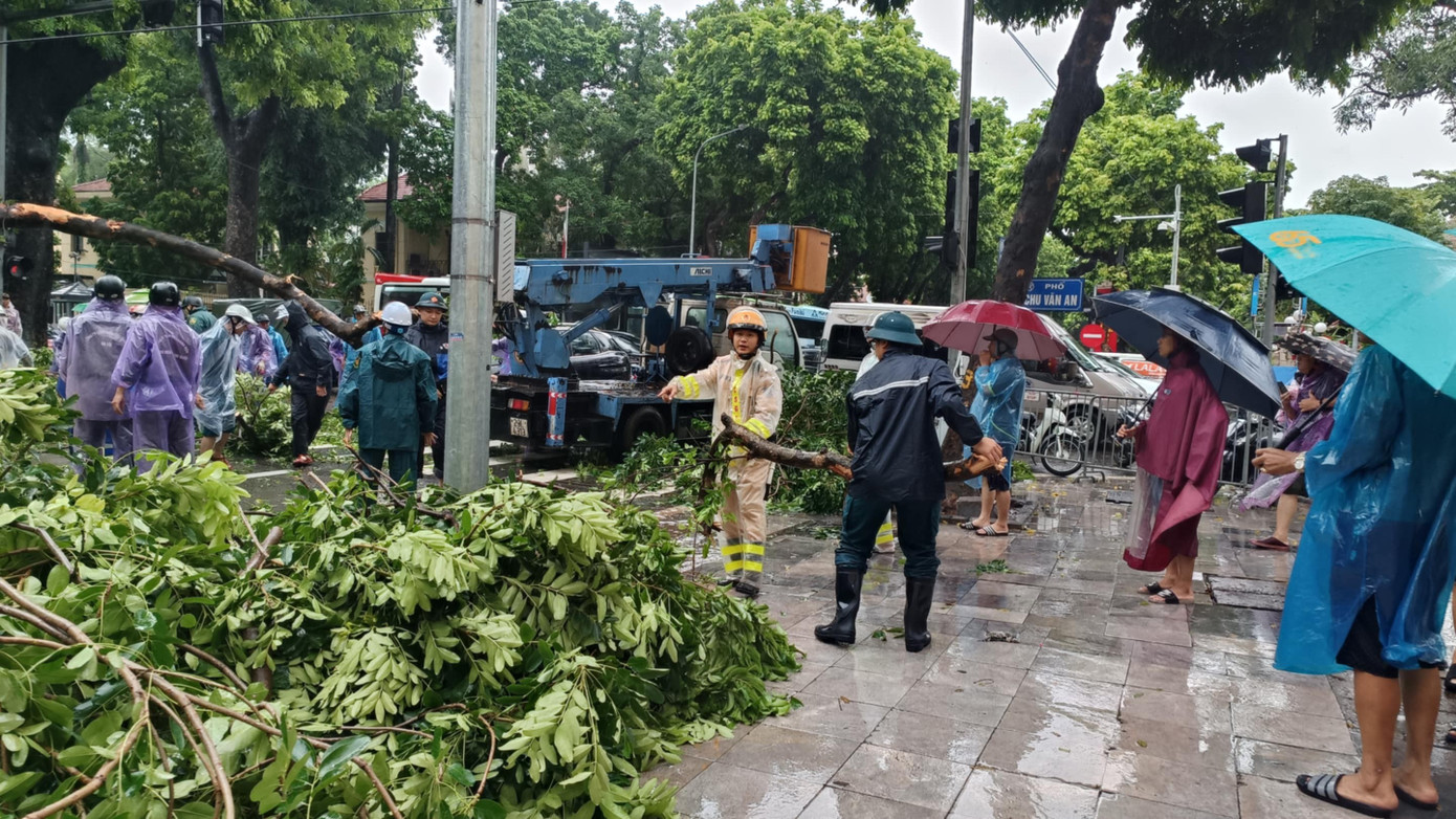 Khoảnh khắc cây xà cừ cổ thụ bật gốc đè bẹp ô tô trên đường Trần Phú- Ảnh 11. Khoảnh khắc cây xà cừ cổ thụ bật gốc đè bẹp ô tô trên đường Trần Phú- Ảnh 11.