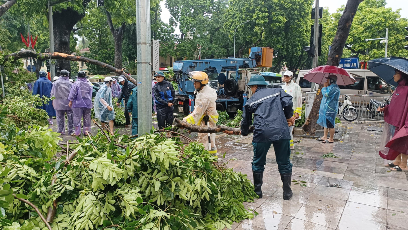 Khoảnh khắc cây xà cừ cổ thụ bật gốc đè bẹp ô tô trên đường Trần Phú- Ảnh 10. Khoảnh khắc cây xà cừ cổ thụ bật gốc đè bẹp ô tô trên đường Trần Phú- Ảnh 10.