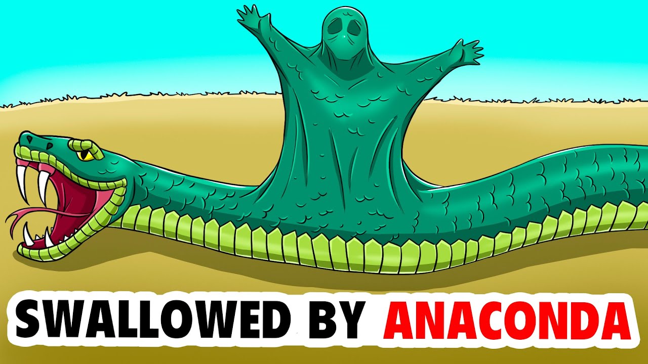 Bên trong dạ dày Anaconda: Con người sẽ sống được bao lâu trước khi bị tiêu hóa?- Ảnh 2. Bên trong dạ dày Anaconda: Con người sẽ sống được bao lâu trước khi bị tiêu hóa?- Ảnh 2.