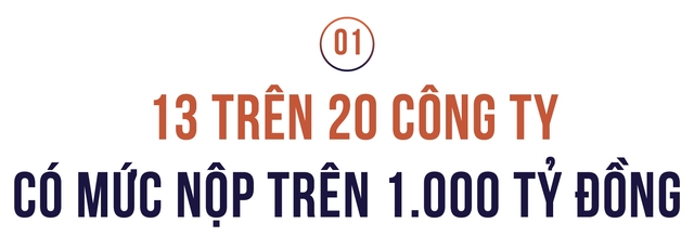 Công bố Top 20 công ty bất động sản tư nhân nộp ngân sách lớn nhất Việt Nam- Ảnh 2. Công bố Top 20 công ty bất động sản tư nhân nộp ngân sách lớn nhất Việt Nam- Ảnh 2.