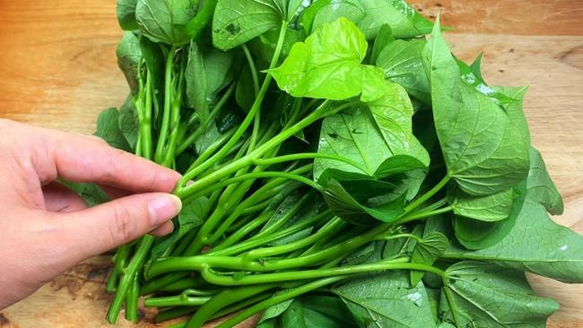 Loại “rau từng cho heo” thành siêu thực phẩm được Mỹ thu mua với giá 1 triệu/kg vì khả năng “ức chế tế bào phổi bệnh lý” mạnh hơn cả thuốc nhập khẩu- Ảnh 1. Loại “rau từng cho heo” thành siêu thực phẩm được Mỹ thu mua với giá 1 triệu/kg vì khả năng “ức chế tế bào phổi bệnh lý” mạnh hơn cả thuốc nhập khẩu- Ảnh 1.