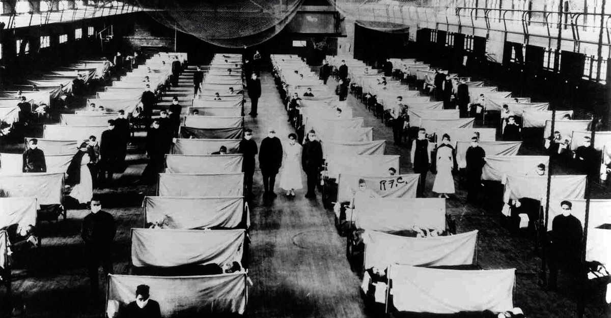 Lá phổi 107 năm tuổi hé lộ bí mật chấn động về cúm Tây Ban Nha, giải mã cách virus thích nghi để tàn phá thế giới!- Ảnh 3. Lá phổi 107 năm tuổi hé lộ bí mật chấn động về cúm Tây Ban Nha, giải mã cách virus thích nghi để tàn phá thế giới!- Ảnh 3.