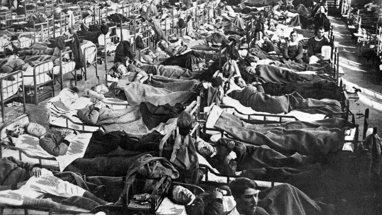 Lá phổi 107 năm tuổi hé lộ bí mật chấn động về cúm Tây Ban Nha, giải mã cách virus thích nghi để tàn phá thế giới!- Ảnh 2. Lá phổi 107 năm tuổi hé lộ bí mật chấn động về cúm Tây Ban Nha, giải mã cách virus thích nghi để tàn phá thế giới!- Ảnh 2.
