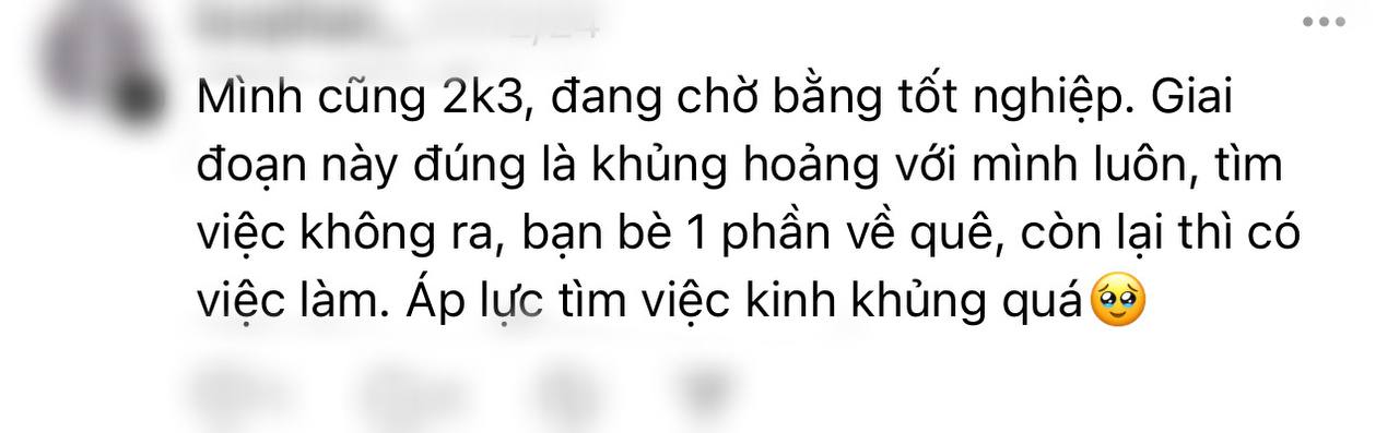 2k3 ra trường nhưng không thể kiếm việc- Ảnh 4. 2k3 ra trường nhưng không thể kiếm việc- Ảnh 4.