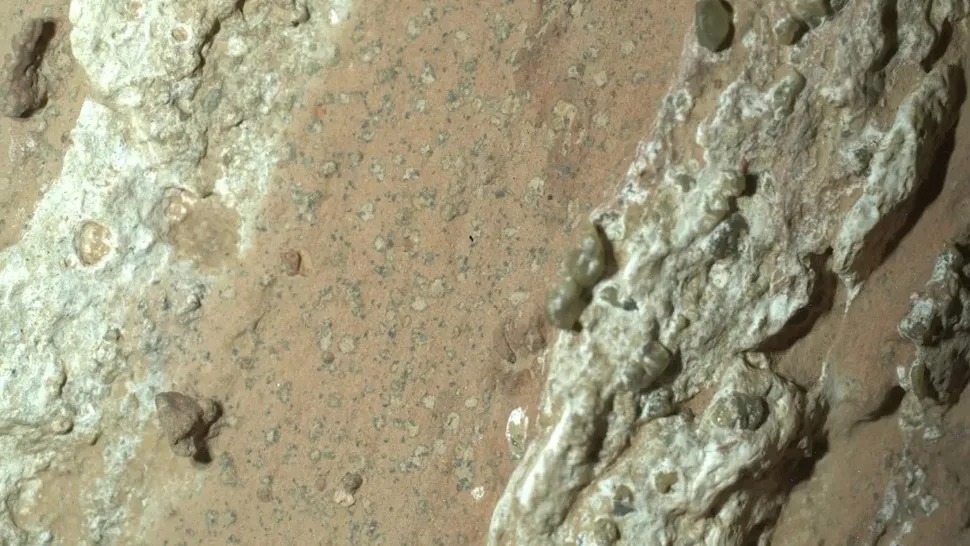 NASA công bố 'dấu hiệu rõ ràng nhất' về sự sống trên Sao Hỏa- Ảnh 2.