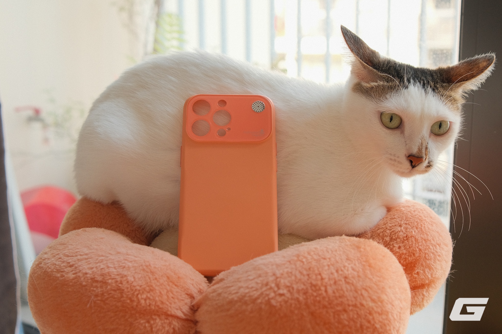 Tôi mua ốp lưng giống iPhone 17 Pro cho máy cũ, không phải để “đú” mà thực sự có tác dụng thực tiễn này- Ảnh 1.