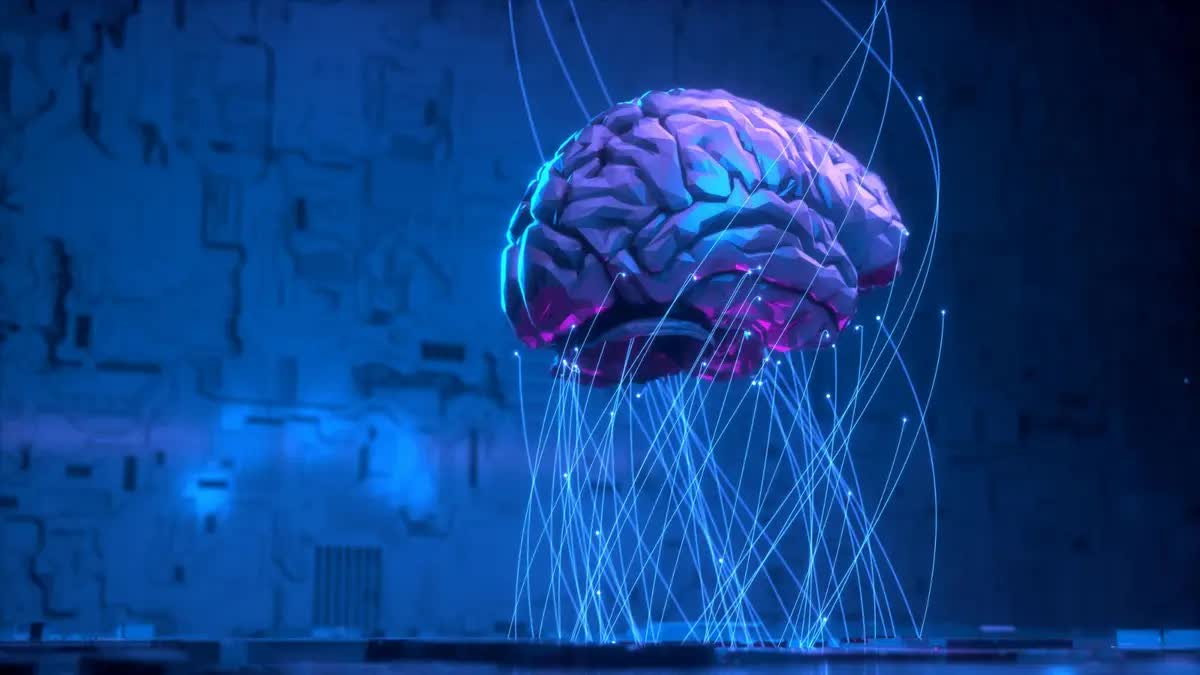 Công nghệ lập bản đồ RNA mới mở ra cơ hội giải mã bộ não Einstein và kho báu di truyền bị lãng quên- Ảnh 3.