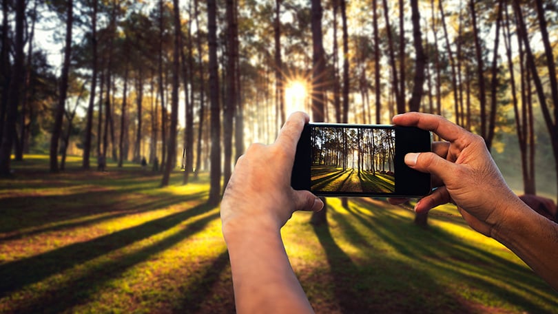 GenZ đau đầu không biết mua smartphone “trăm chấm” hay máy ảnh compact thế hệ cũ: Tưởng dễ chọn hóa ra lại đầy tranh cãi- Ảnh 4. GenZ đau đầu không biết mua smartphone “trăm chấm” hay máy ảnh compact thế hệ cũ: Tưởng dễ chọn hóa ra lại đầy tranh cãi- Ảnh 4.