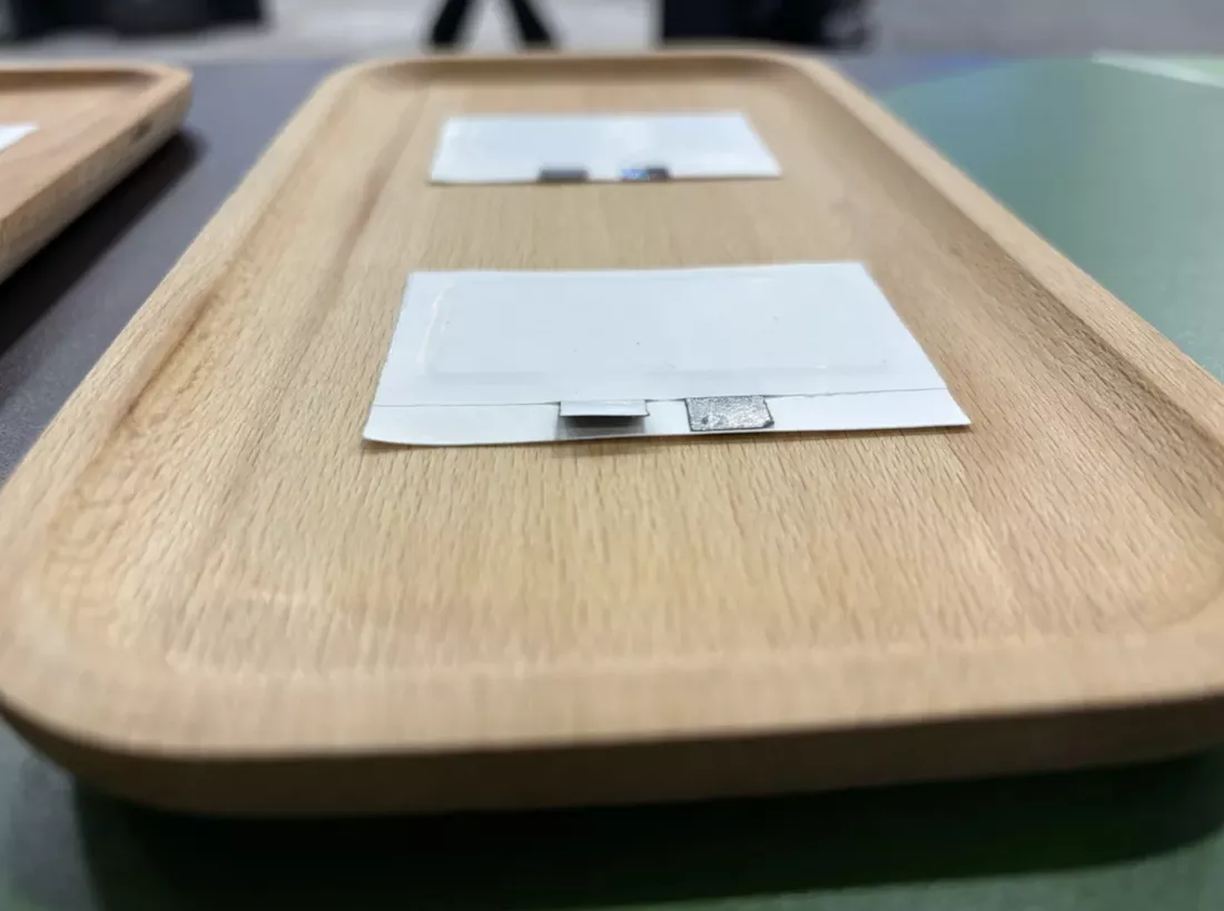 Những cục pin gốc thực vật n&agrave;y sẽ sớm thay thế sản phẩm "pin con thỏ" quen thuộc- Ảnh 3.