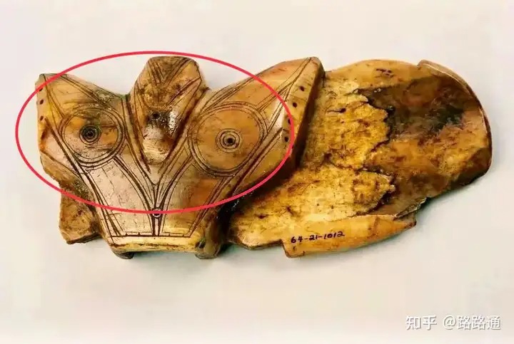 Vì sao người Eskimo vẫn ăn thịt sống giữa Bắc Cực khắc nghiệt suốt hàng nghìn năm? - Ảnh 3.