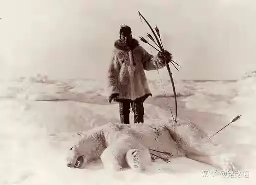 Vì sao người Eskimo vẫn ăn thịt sống giữa Bắc Cực khắc nghiệt suốt hàng nghìn năm? - Ảnh 5.