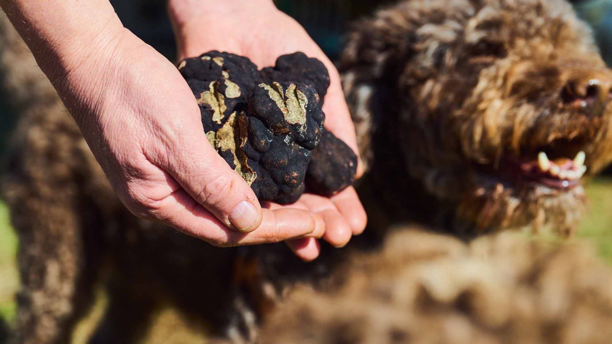 Được người Pháp gọi là 