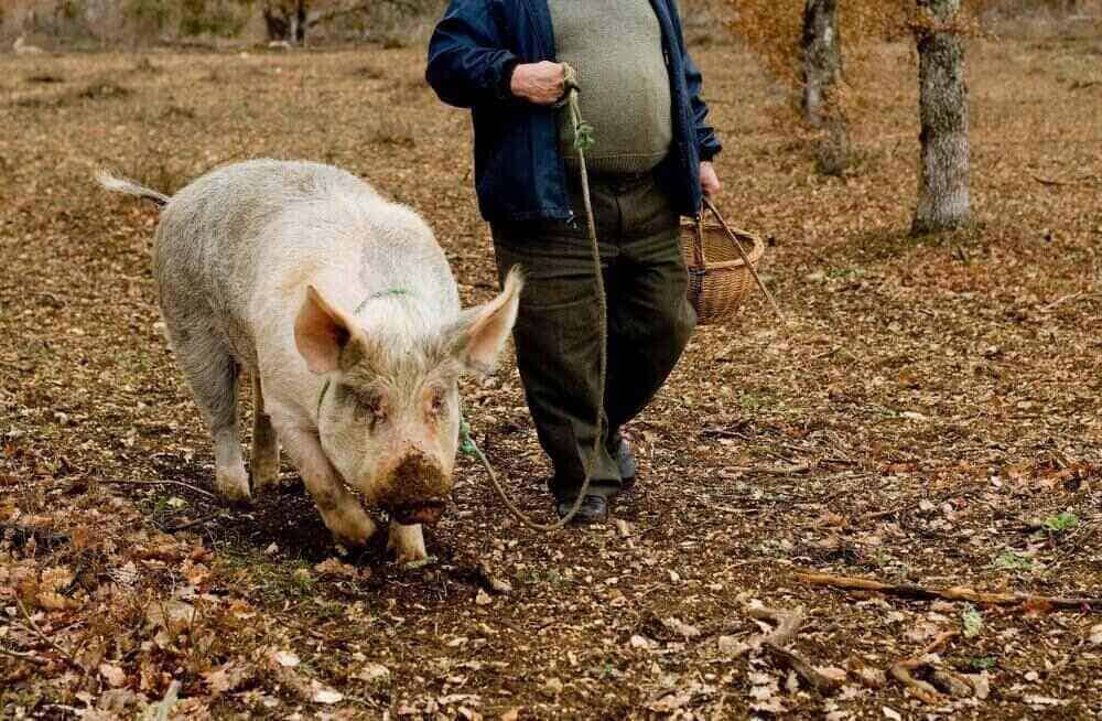 Được người Pháp gọi là 