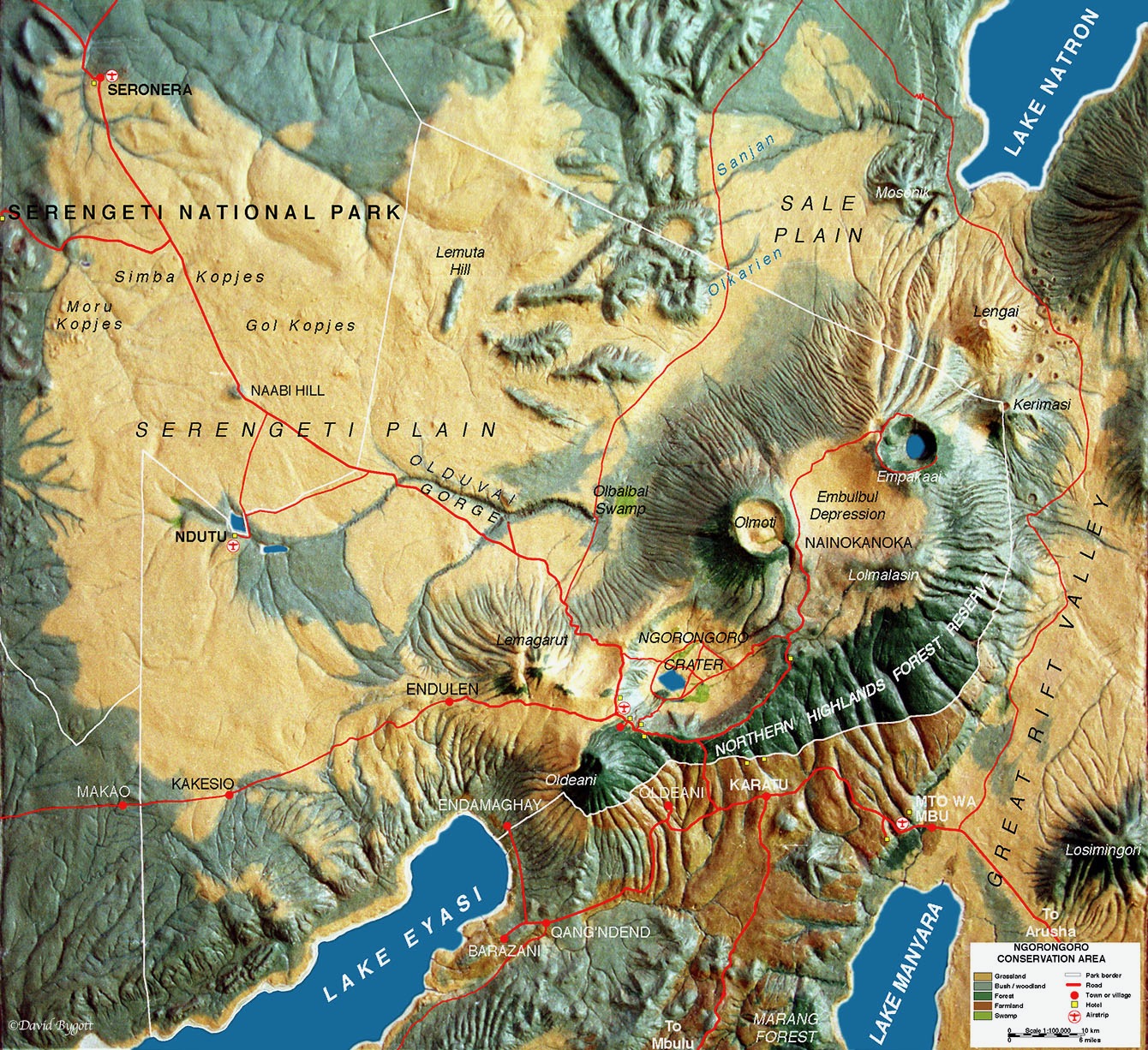 Miệng n&uacute;i lửa Tanzania: Nơi 25.000 d&atilde; th&uacute; c&ugrave;ng chung sống, nhưng v&igrave; sao sư tử lại chỉ c&oacute; thể sinh sản cận huyết?- Ảnh 1.