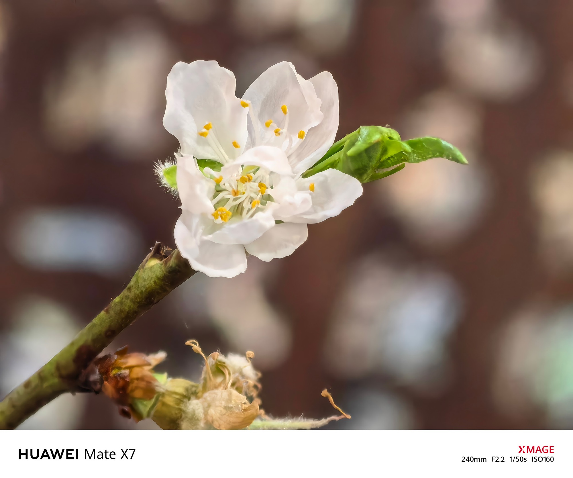 HUAWEI Mate X7: Lời khẳng định vị thế trong thế giới smartphone gập - Ảnh 5.