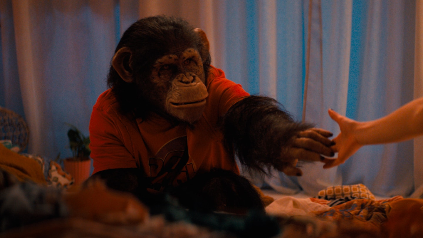 "Primate" 2026: Cơn ác mộng đẫm máu từ thú cưng hóa quái vật khơi dậy niềm vui nguyên thủy của dòng phim kinh dị - Ảnh 1.
