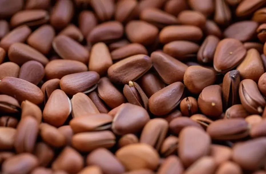 Top 10 thực phẩm "tốt bậc nhất thế giới", Việt Nam kh&ocirc;ng thiếu thứ g&igrave;- Ảnh 1.