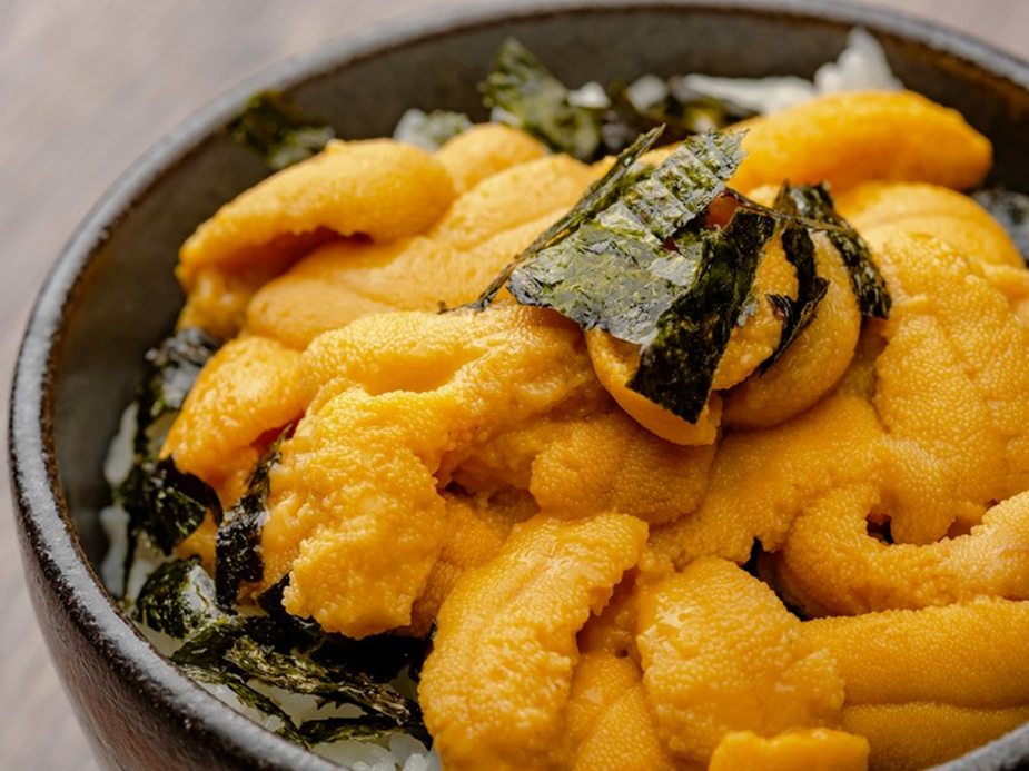 Sinh vật duy nhất tr&ecirc;n Tr&aacute;i đất "nh&igrave;n bằng ch&acirc;n": H&oacute;a ra l&agrave; "nh&acirc;n s&acirc;m của biển" - Ảnh 2.