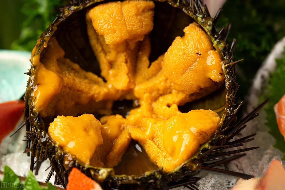 Sinh vật duy nhất tr&ecirc;n Tr&aacute;i đất "nh&igrave;n bằng ch&acirc;n": H&oacute;a ra l&agrave; "nh&acirc;n s&acirc;m của biển" - Ảnh 3.