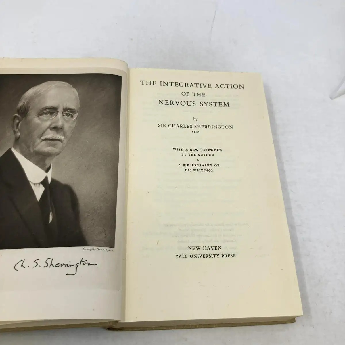 Sự thật ng&atilde; ngửa: Tại sao ch&oacute; đạp ch&acirc;n đi&ecirc;n cuồng khi được g&atilde;i bụng? - Ảnh 2.