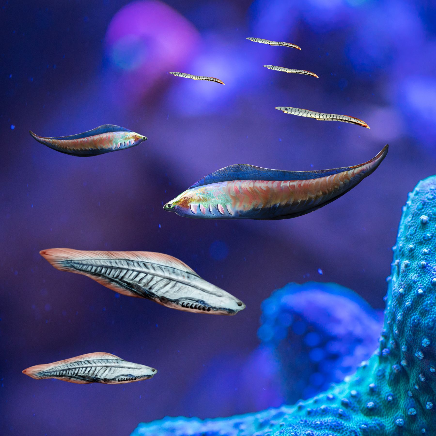 Phát hiện chấn động: Tổ tiên 500 triệu năm trước của loài người từng nhìn đời bằng bốn con mắt! - Ảnh 3.