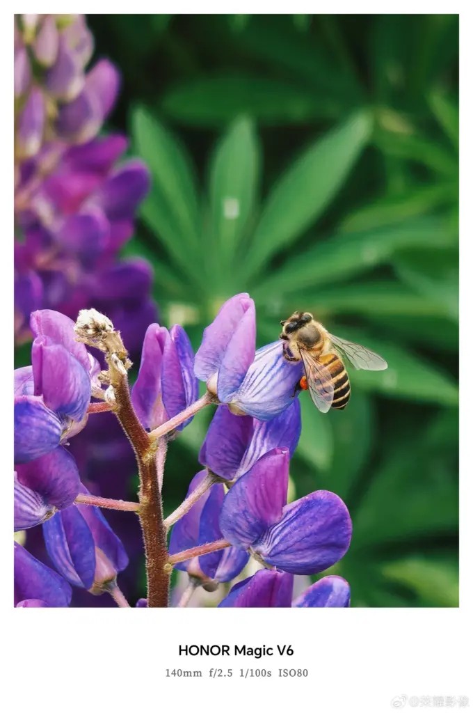 Honor Magic V6 lộ diện trước giờ G: Camera AI th&aacute;ch thức flagship, th&ecirc;m m&agrave;u đỏ nhung nổi bật- Ảnh 2.