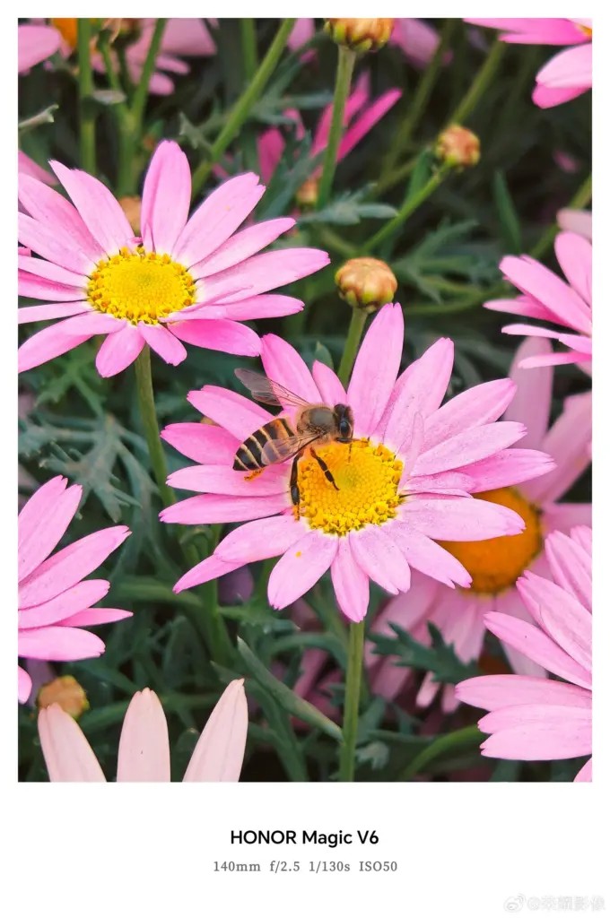 Honor Magic V6 lộ diện trước giờ G: Camera AI th&aacute;ch thức flagship, th&ecirc;m m&agrave;u đỏ nhung nổi bật- Ảnh 3.