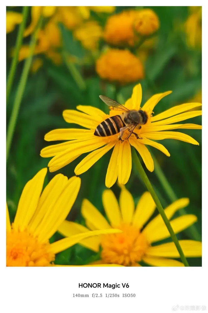 Honor Magic V6 lộ diện trước giờ G: Camera AI th&aacute;ch thức flagship, th&ecirc;m m&agrave;u đỏ nhung nổi bật- Ảnh 4.