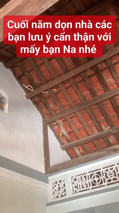 Dọn nh&agrave; đ&oacute;n Tết, gia chủ "lạnh sống lưng" khi nh&igrave;n thấy cảnh tượng tr&ecirc;n m&aacute;i nh&agrave;: C&oacute; thể l&agrave; &aacute;m ảnh tới gi&agrave; - Ảnh 2.