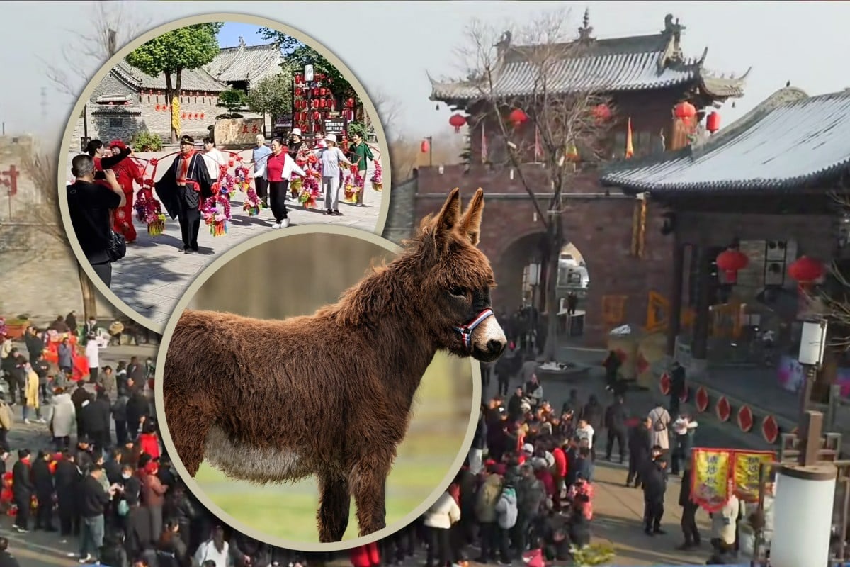 Ngôi làng cổ 600 năm tuổi tại Trung Quốc đổi đời nhờ đóng phim: Cả người và vật nuôi đều thành diễn viên - Ảnh 2.