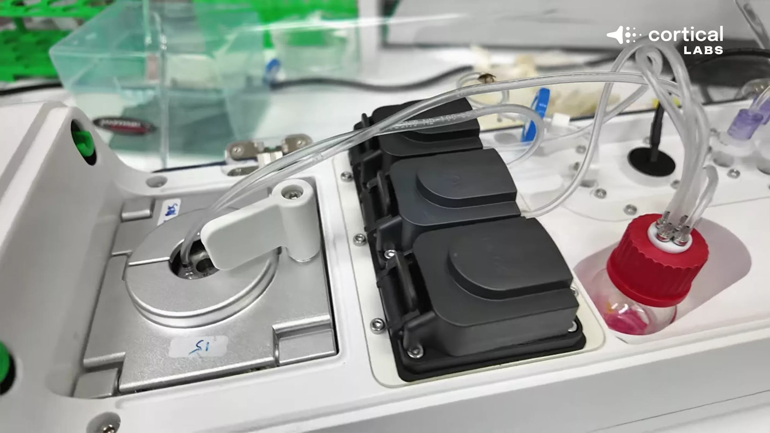 Bạn có nhớ cụm neuron thần kinh chơi được Doom hôm trước không? Nó sắp được ghép thành trung tâm dữ liệu sinh học rồi đây này - Ảnh 2.