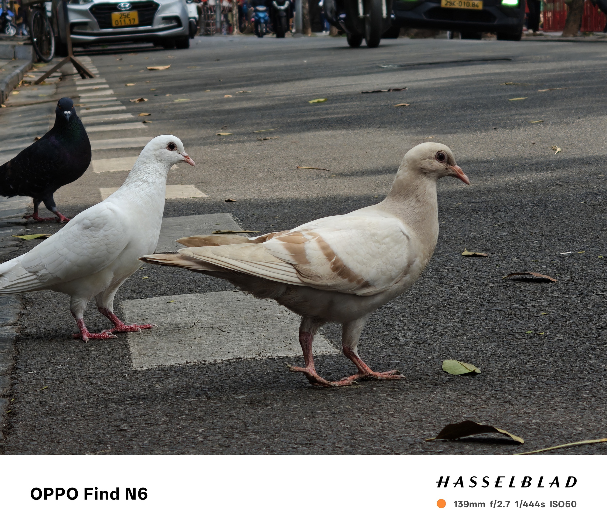 Đ&aacute;nh gi&aacute; smartphone gập OPPO Find N6: Sự tỉ mỉ trong từng đường n&eacute;t nhỏ - Ảnh 15.