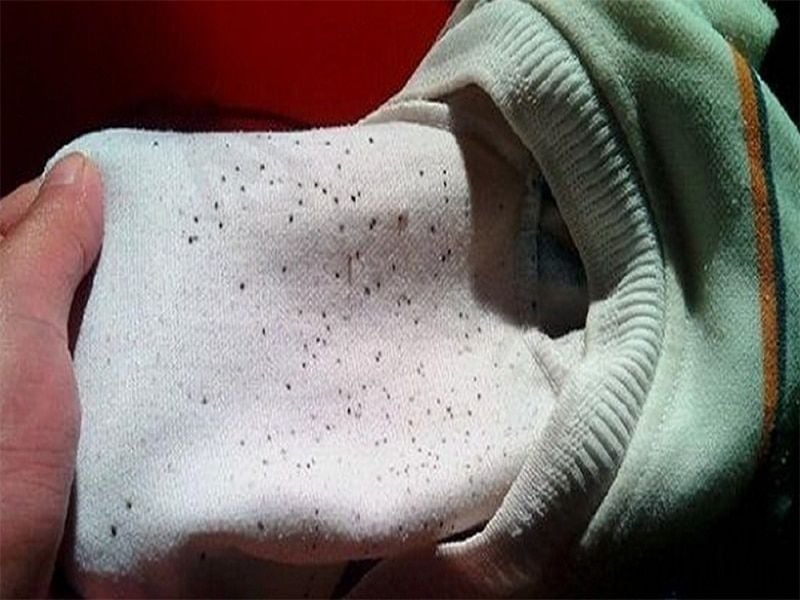 H&agrave; Nội nồm ướt như x&ocirc;ng hơi, mẹ bảo kh&ocirc;ng mua m&aacute;y h&uacute;t ẩm: T&ocirc;i c&atilde;i ngay - Ảnh 2.