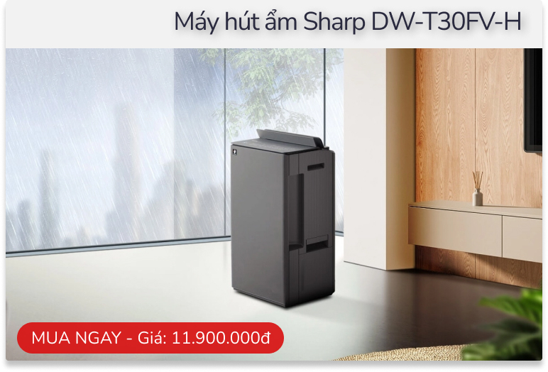 H&agrave; Nội nồm ướt như x&ocirc;ng hơi, mẹ bảo kh&ocirc;ng mua m&aacute;y h&uacute;t ẩm: T&ocirc;i c&atilde;i ngay - Ảnh 5.