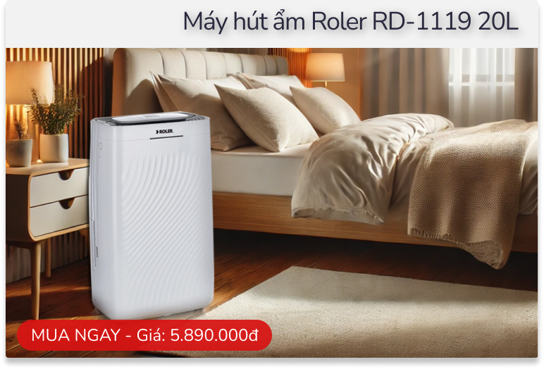 H&agrave; Nội nồm ướt như x&ocirc;ng hơi, mẹ bảo kh&ocirc;ng mua m&aacute;y h&uacute;t ẩm: T&ocirc;i c&atilde;i ngay - Ảnh 4.