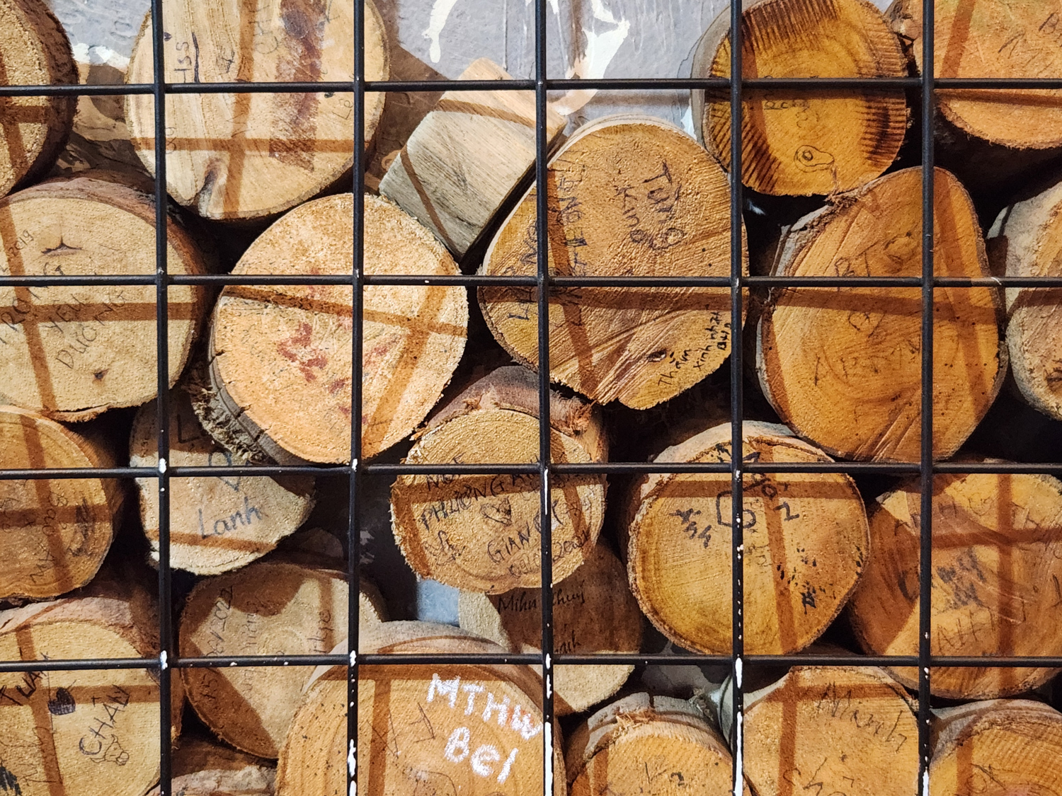 Ảnh chụp từ Galaxy A57