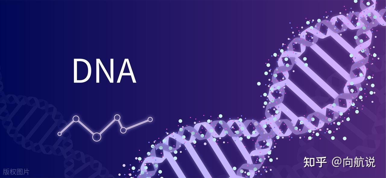 Con người có thể bất tử hay không khi khoa học tiến sát giới hạn tuổi thọ và đối mặt quy luật tự nhiên khắc nghiệt - Ảnh 3.