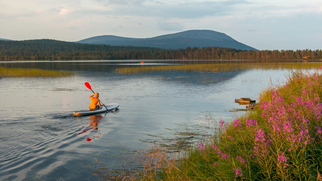 Vòng Bắc Cực chạm ngưỡng 30 độ C, 2026 sẽ là năm nóng nhất lịch sử?  - Ảnh 2.
