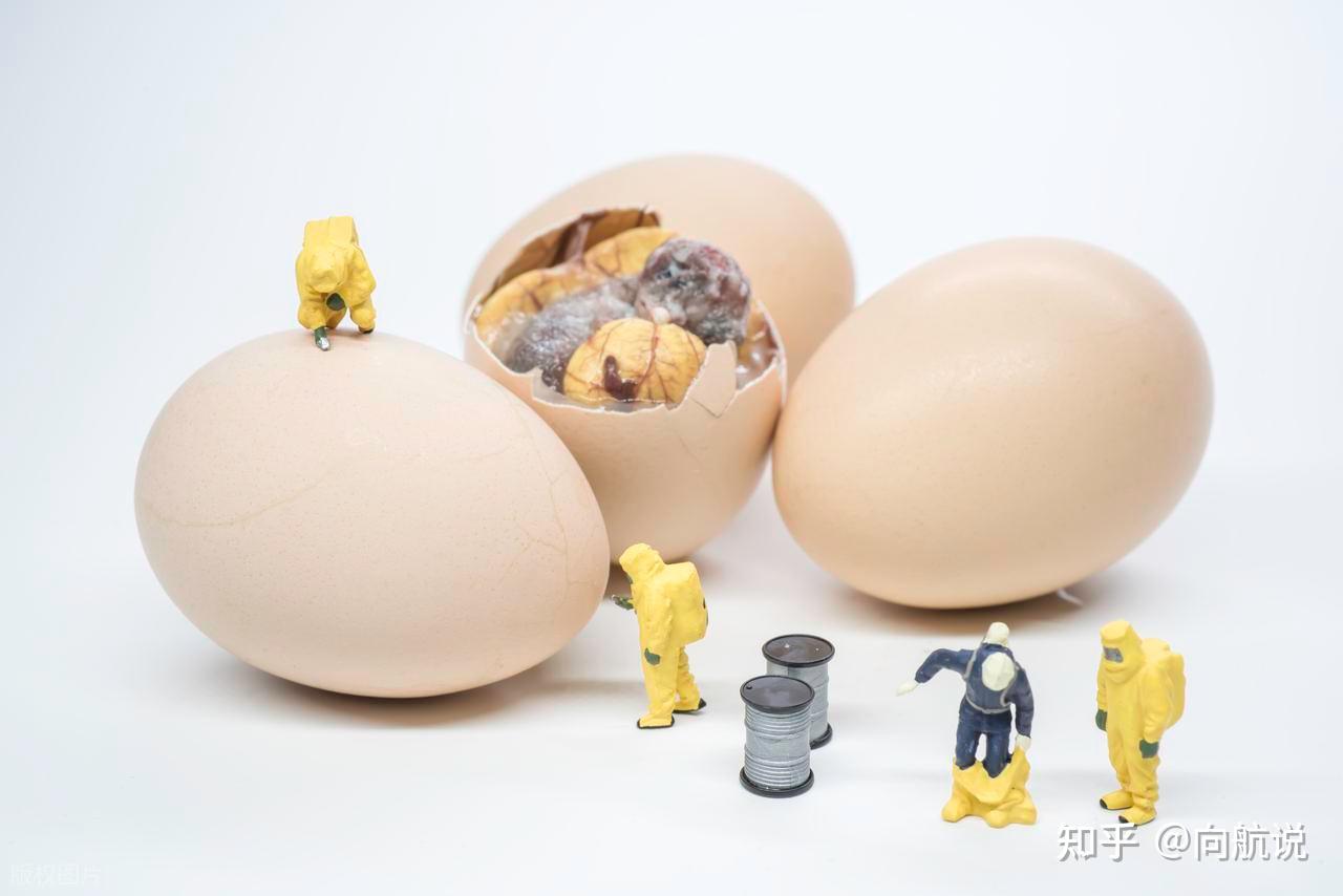 Nếu con người đẻ trứng thay vì mang thai, xã hội sẽ đảo lộn ra sao? - Ảnh 4.