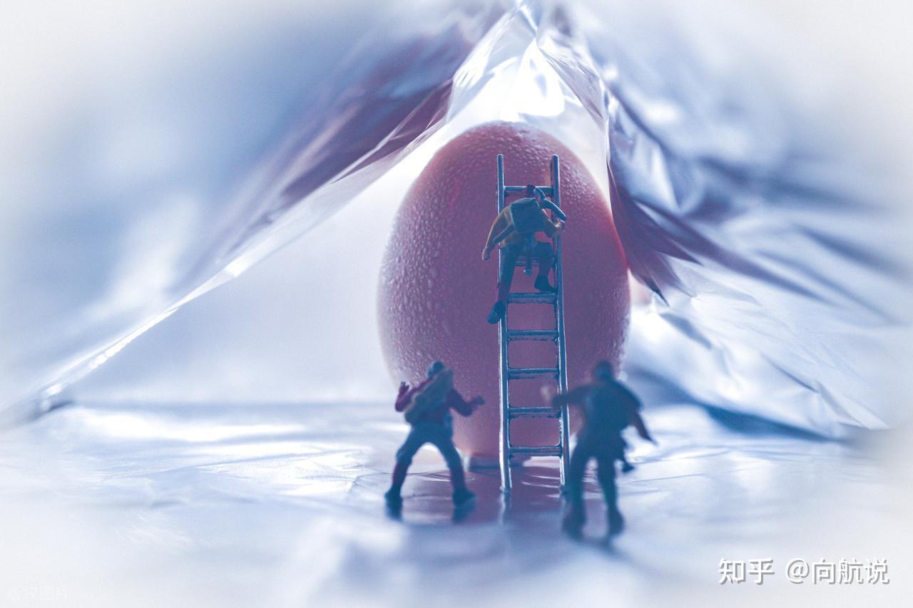 Nếu con người đẻ trứng thay vì mang thai, xã hội sẽ đảo lộn ra sao? - Ảnh 3.