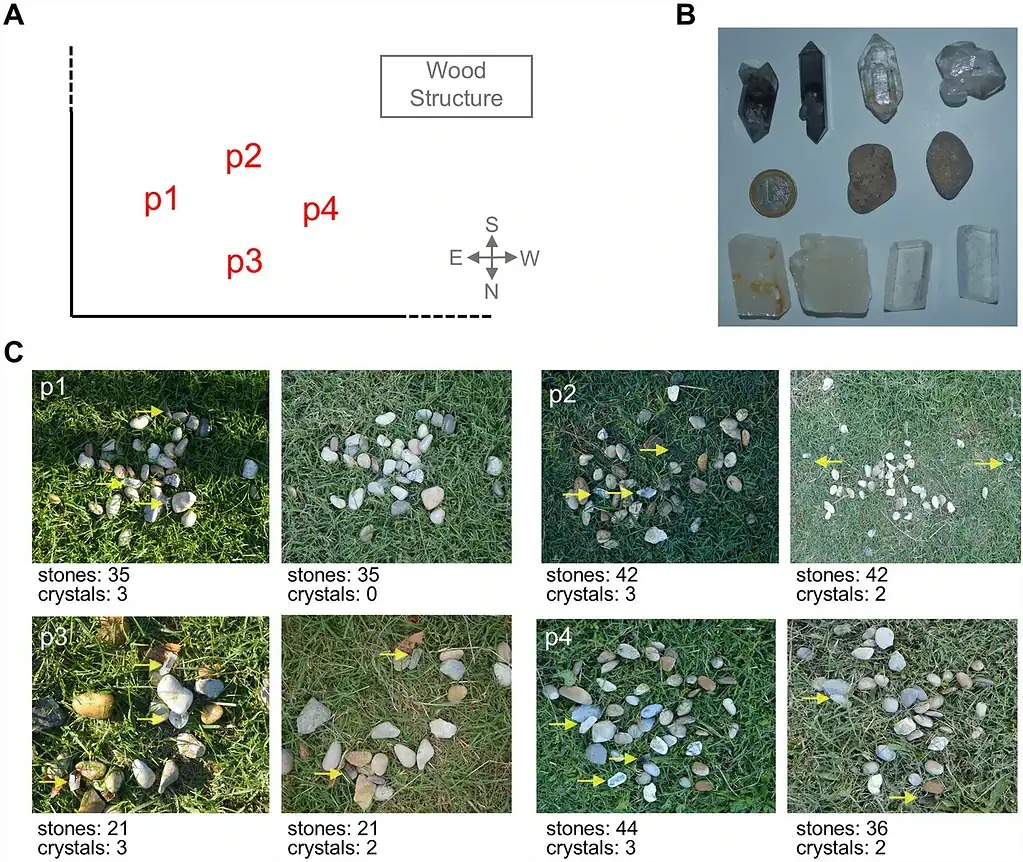 Nghiên cứu về loài tinh tinh tại Tây Ban Nha hé lộ niềm đam mê chung đối với các tinh thể giữa linh trưởng và người - Ảnh 3.