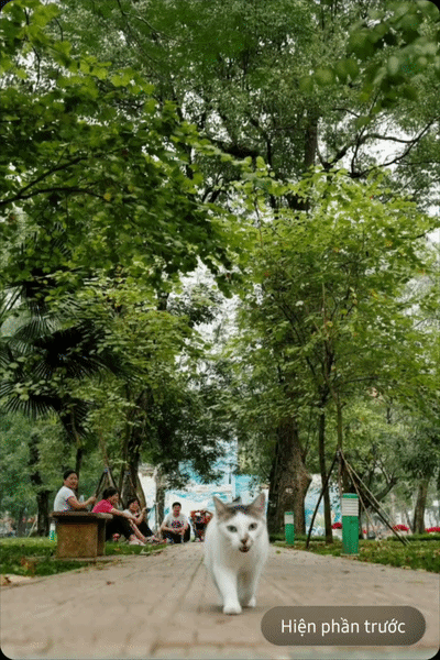 Screenrecording20260308172253Photoeditor Ezgifcom Video To Gif Converter 1772967810319 1772967810595427253367