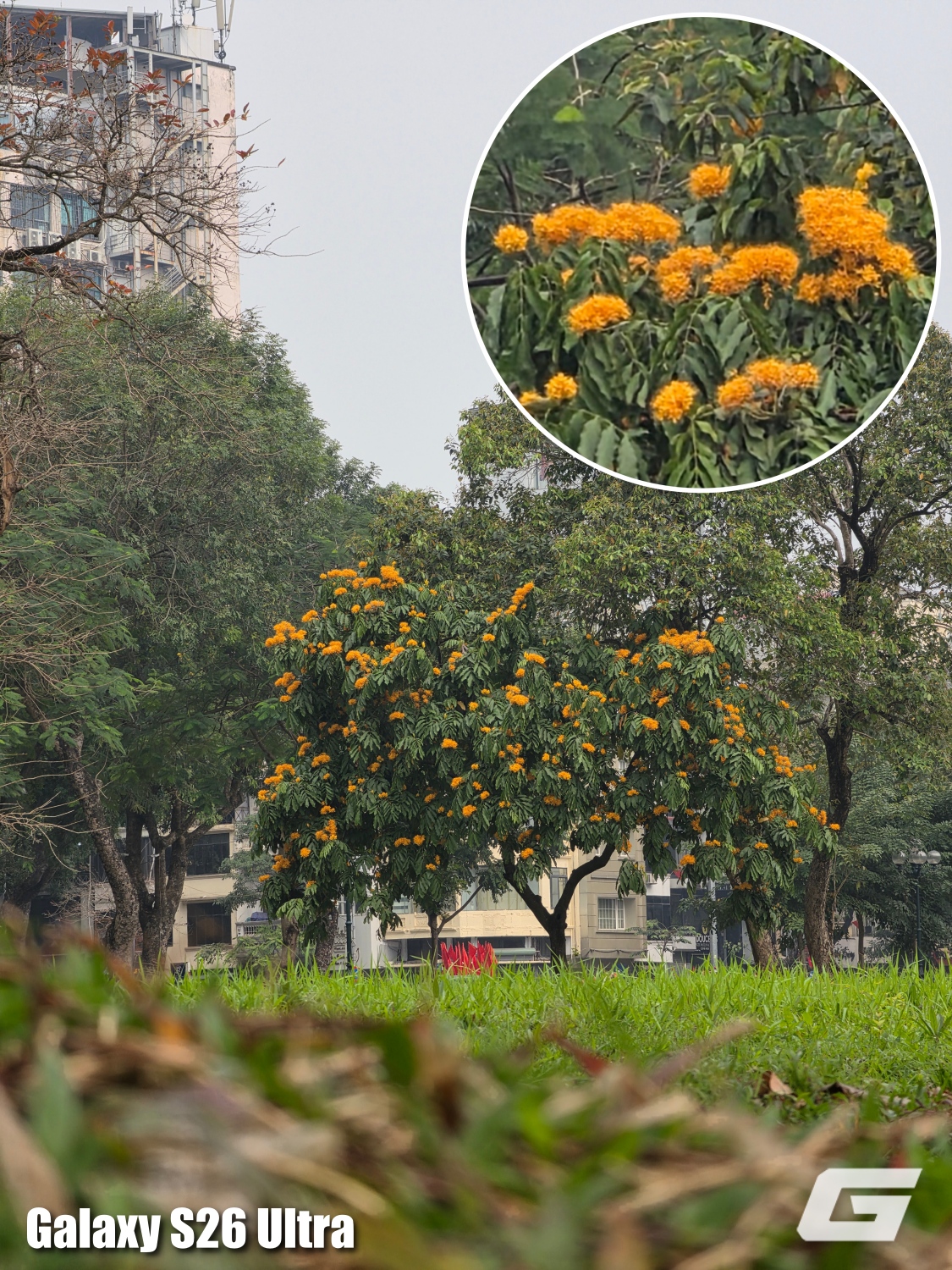 So Sanh Camera Galaxy S26 Ultra Vs Galaxy S25 Ultra Genk 120260306134631 17730565947582019848336