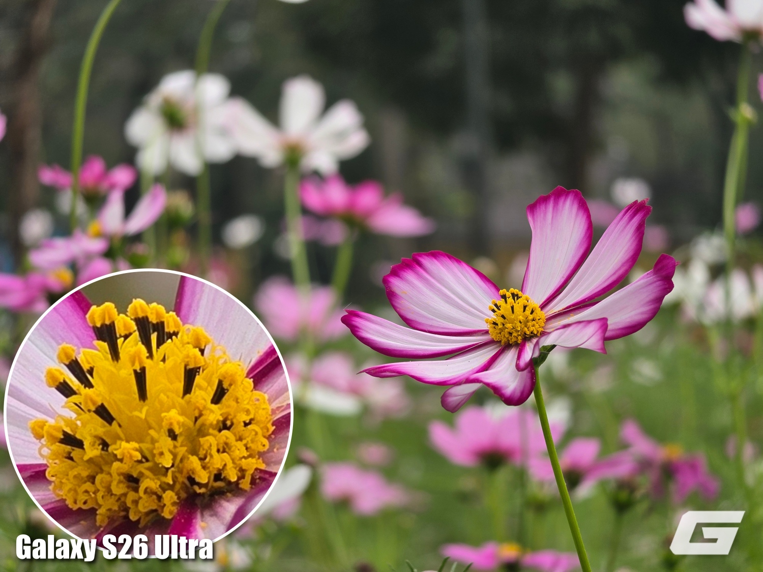 So Sanh Camera Galaxy S26 Ultra Vs Galaxy S25 Ultra Genk 120260306140141 1773056594724836479399