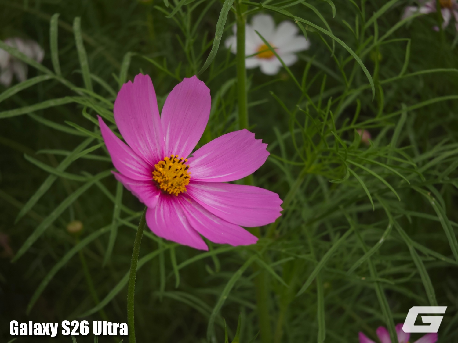 So Sanh Camera Galaxy S26 Ultra Vs Galaxy S25 Ultra Genk 120260306140253 17730565947131529954116