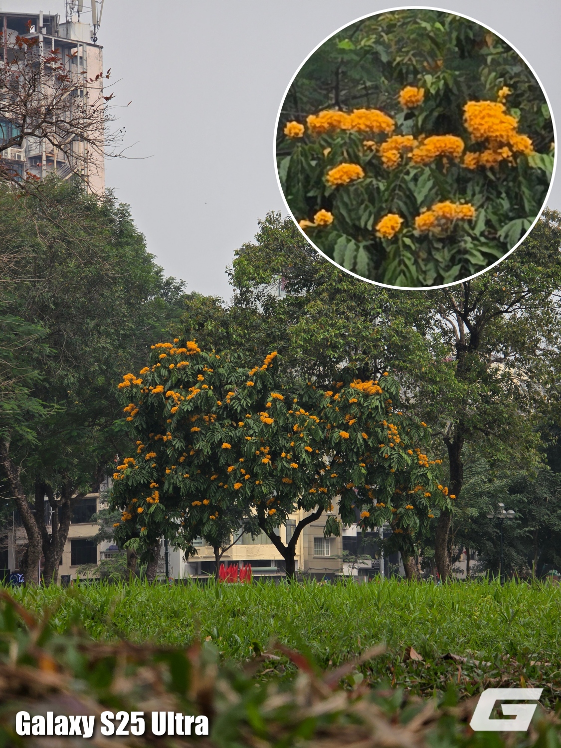 So Sanh Camera Galaxy S26 Ultra Vs Galaxy S25 Ultra Genk 20260306134607 1773056594676638148570