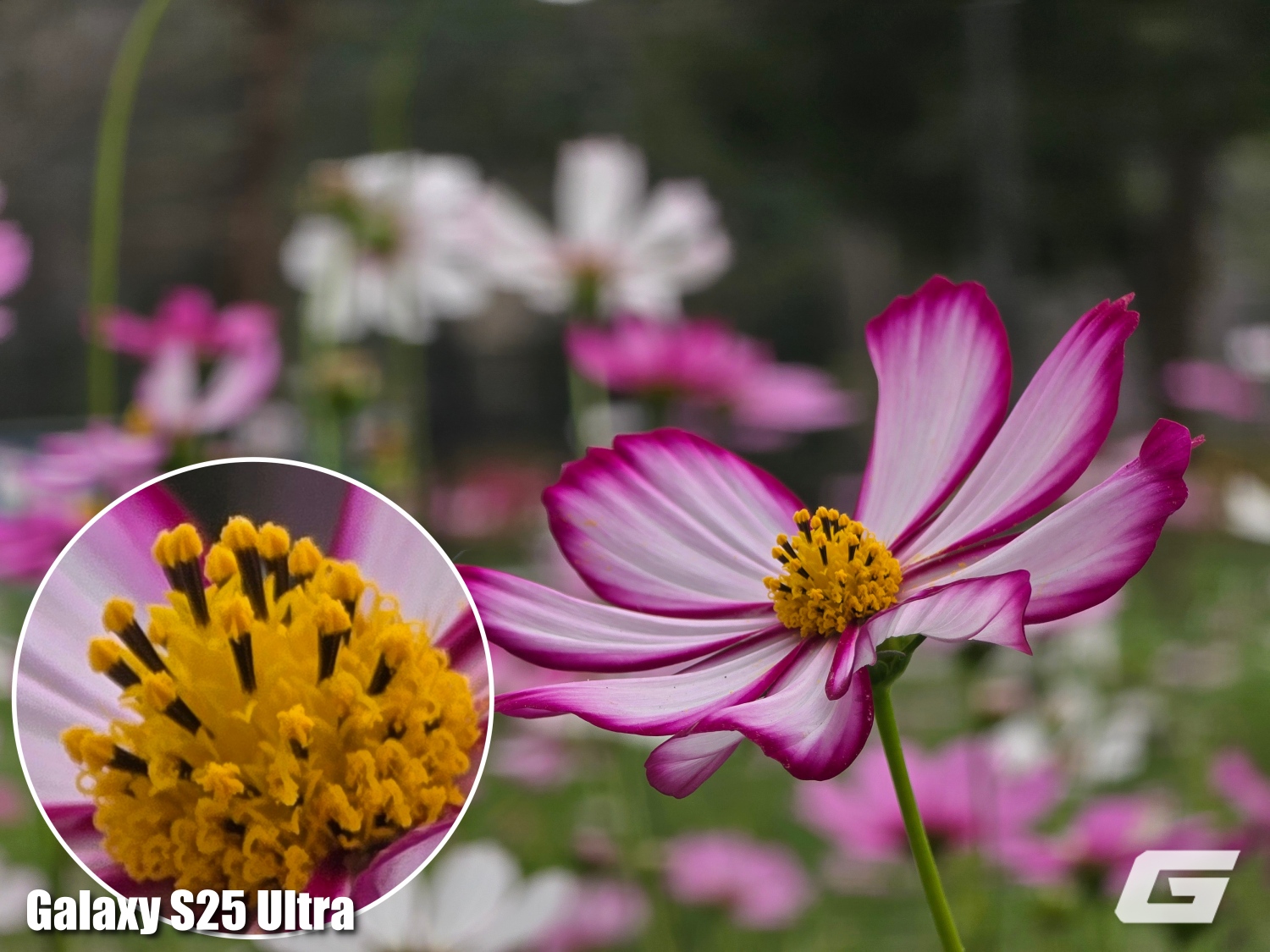 So Sanh Camera Galaxy S26 Ultra Vs Galaxy S25 Ultra Genk 20260306140159 17730565946651453563359